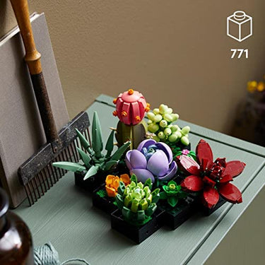 Building Blocks - Succulents